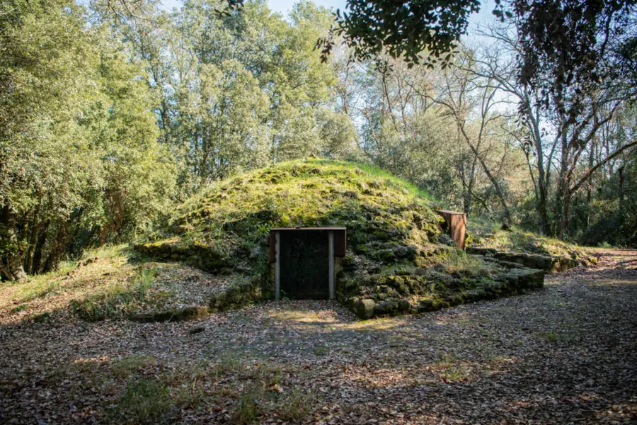 Pou de Glaç de Palol de Revardit