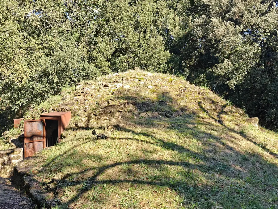 Pou de Glaç de Palol de Revardit